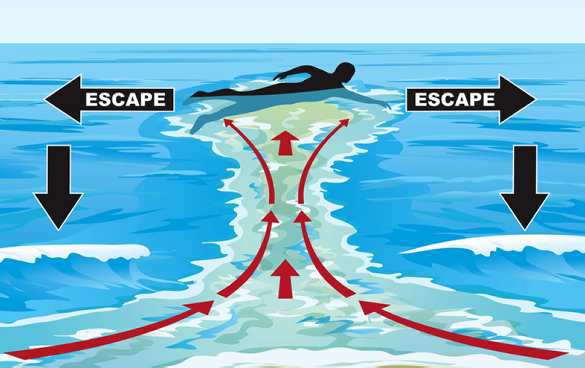 Dangers in Surfing: 7 Situations You Should Know About
