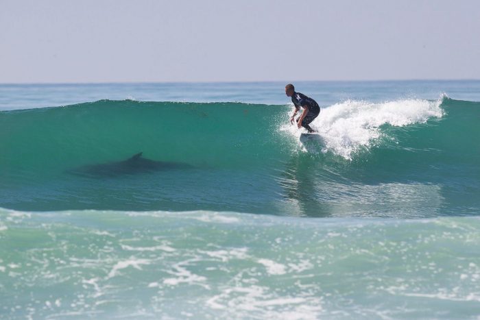 Dangers in surfing 