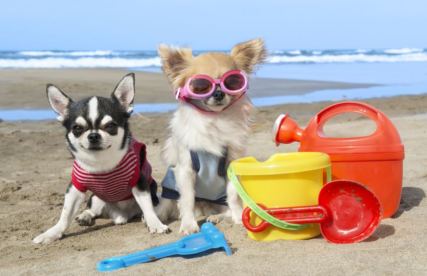 Walking on the beach: 5 benefits of walking barefoot on the beach sand.