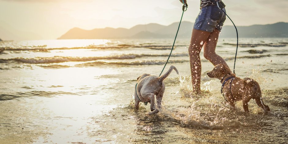 Walking on the beach: 5 benefits of walking barefoot on the beach